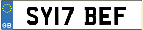 Trailer License Plate